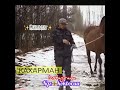 Кахраман Бойканын атасы