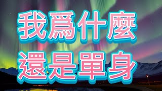 《一口氣看完》我爲什麼還是單身 #甜文#一口氣看完 #短篇小說  #已完結#小說#雙向奔赴#青梅竹馬#聽書