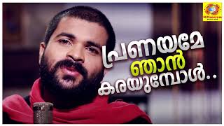 പ്രണയമേ ഞാൻ കരയുമ്പോൾ | Malayalam Album Song | SHAFI KOLLAM