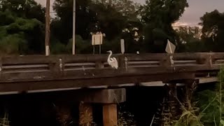 Monsoon Fishing In Louisiana