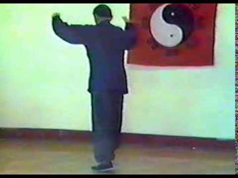 Peter Yang Tai Chi 33 43 Youtube