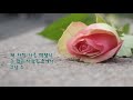 배반의 장미 가사 10회연속듣기 엄정화