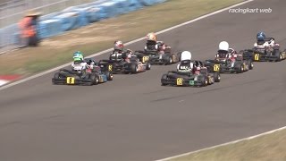 MAX瑞浪シリーズ2017 第2戦 Mini MAX 決勝