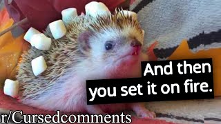 r/Cursedcomments | PLEASE NO