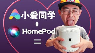 xiaoai in apple homepod DIY