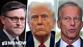 'Different kind of political animal': Panel breaks down Trump's grip on the GOP