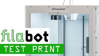 Ultimaker S5 3D Printer - Setup and First Use with Official Test Print