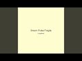 Dream Pulse Fragile