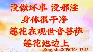 卢台长开示：没做坏事、没邪淫，身体很干净，莲花在观世音菩萨莲花池边上Zongshu20190108   17:57