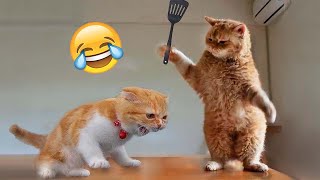 Funny Animal Videos 2023 😂🤪 - Funniest Cats And Dogs Video 😺🐶