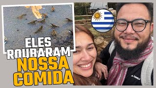 No URUGUAI 🇺🇾 é preciso ter CUIDADO⚠️ MONTEVIDÉU