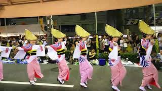 第34回南越谷阿波踊り 東口南通り 阿呆連