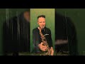 cardigan taylor swift folklore brendan ross saxophone cover version