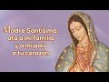 ❤️rosario por la paz la familia la libertad y la salud ☘️ gozosos ☘️ hoy sábado 28 diciembre