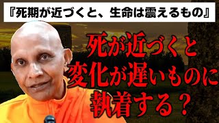 生命は死が近づくと変化の速度が遅いものに執着する？『死期が近づくと、生命は震えるもの』について解説【スマナサーラ長老切り抜き】