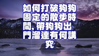 如何打破狗狗固定的散步時間,帶狗狗出門溜達有何講究