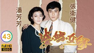 TVB 處境喜劇 | 婆媽女婿 43/58 | 戀愛專家 | 劉青雲、羅慧娟、張衛健、潘芳芳、劉江 | 粵語 | 1989