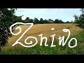 🚶ŻNIWO a my? - 🚶🙏modlispacer #8