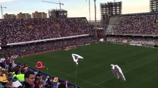 Coreografia Because I'm Happy - salernitana casertana 1-1 ripresa dai distinti