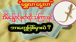 အိမ်မြှောင်စုတ်ထိုးသံကြားတဲ့အခါ နိမိတ်ကောက်နည်း အိမ်မြှောင်နိမိတ်