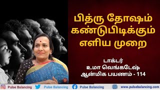 Spiritual Journey in Tamil | பித்ரு தோஷம் கண்டுபிடிக்கும் எளிய முறை