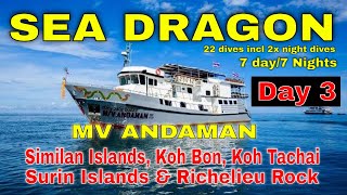 Day 3: Richelieu Rock - Sea Dragon- MV Andaman Liveaboard -  Andaman Sea - Scuba Diving