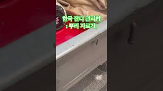 잔디에 배수가 잘 안되거나 생육 촉진이 안 될 때 ￼￼뿌리를 ￼잘라 주시면 작업을 하면 좋습니다￼