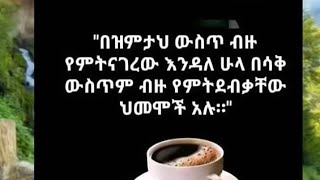 @abgrace7318 የዛሬዉ ይለያል 🤣ጆሲ ተመለስ አዲስአበባ#የልጂ ቶፊቅ ጉዲ  አርገዘቺ😱ማርክ ጉዲ ልጂ አለዉ አሉ😒