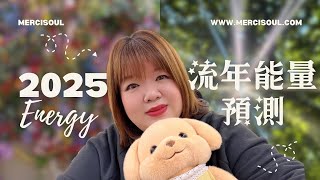 【CC字幕 廣東話】Mercisoul - 2025年能量預告 - 蛻變與整合 - 個人層面x 集體意識 x 地球意識 Part 1