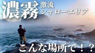 【ロックショア】絶景ポイントでミノーを投げていたら、、まさかのアレが釣れた！？【ヒラスズキ、ロックフィッシュ】