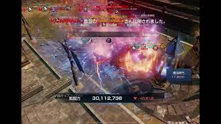 リネレボ要塞大戦30人 ぷりん vs CARRACK 血盟さま