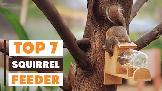 Top 7 Squirrel Feeders You Need in Your Backyard