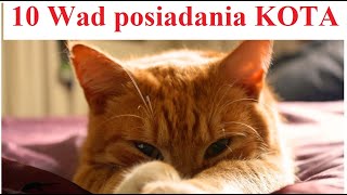 10 Wad posiadania KOTA