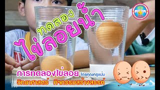 TMS   วิทยาศาสตร์ การทดลองไข่ลอย สำหรับสายชั้นอนุบาล 1