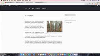 WordPress quick start guide 5 - What are WordPress Widgets, and how to use them