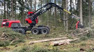 Harvesterul Komatsu 951XC cu cap procesor C164❗️#alser #utilajedepadure #komatsu #harvester