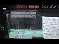 Safe Haven Baby Boxes celebrates five years