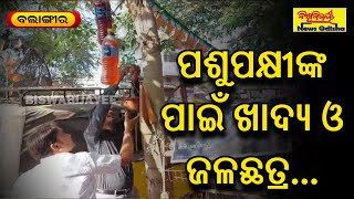 Balangir News - ପଶୁପକ୍ଷୀଙ୍କ ପାଇଁ ଖାଦ୍ୟ ଓ ଜଳଛତ୍ର