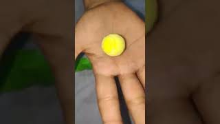 Center fruit tennis ball shape pineapple flavour#shorts #viral#asmr#chewingum#pineapple#centerfruit