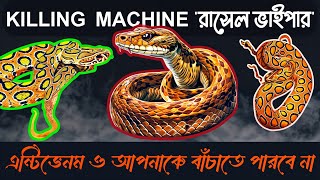 বিষধর রাসেল ভাইপার সাপ কতটা বিষাক্ত?-বাংলাদেশ-Poisionous snake Russel's Viper-INSIGHT FAMILY