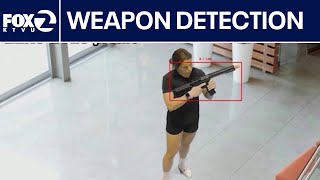 New AI tech detects guns through surveillance cameras | West Coast Wrap