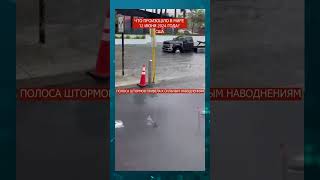 🌧🚗🌊 Какой ущерб нанес этот ливень Флориде? Как изменение климата влияет на активность ураганов?