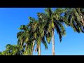 Soulfull Humming Background Nasheed