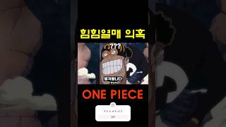 ㅈㅈㅅ ㅂㅈㅅ 힘힘 열매 의혹 (one piece)