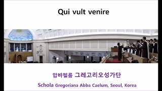 압바첼룸: Qui vult venire