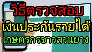 วิธีตรวจสอบ เงินประกันรายได้เกษตรกร ชาวสวนยาง ยางพารา ด้วยมือถือหรือคอมพิวเตอร์ ทุกขั้นตอน