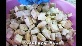 发霉长毛的豆腐，看完加工过程，你还敢吃吗？