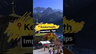 Kedarnath Update 🙏☺️ #kedarnath #chardham #ashortaday #ytshorts