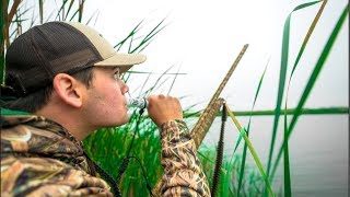 Duck Hunting in a FLOODED Field!!! (LIMITED OUT)