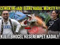 CEWE INI JADI BIANG KADAL POHON MONSTER!! KULIT BHOCEL DESEREMPET KADAL!! HS_REPTILE